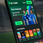 bc-game-app-conclusions