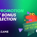 bc-game-casino-promotion-en.jpg